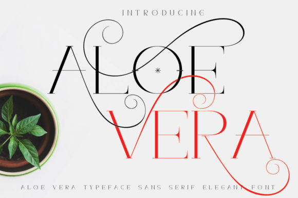 Aloe Vera Serif Font for Handmade Labels & Invitations