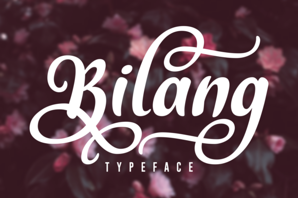 Bilang: A Bold Script Font for Confident Brand Identities