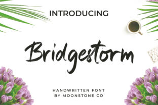 Bridgestorm: A Romantic Handwritten Font for Warm Brand Identities