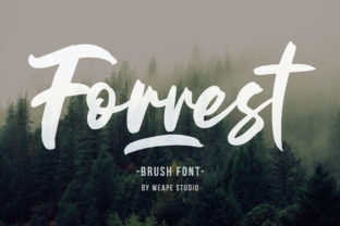 Forrest: A Script That Feels Like a Handshake