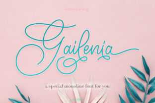 Gailenia: A Romantic Script Font That Elevates Small Business Branding