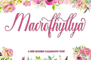 Macrofhyllya Script: A Handwritten Font That Builds Brand Trust