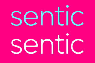 Sentic: A Modern Sans Serif Font for Handmade Creators